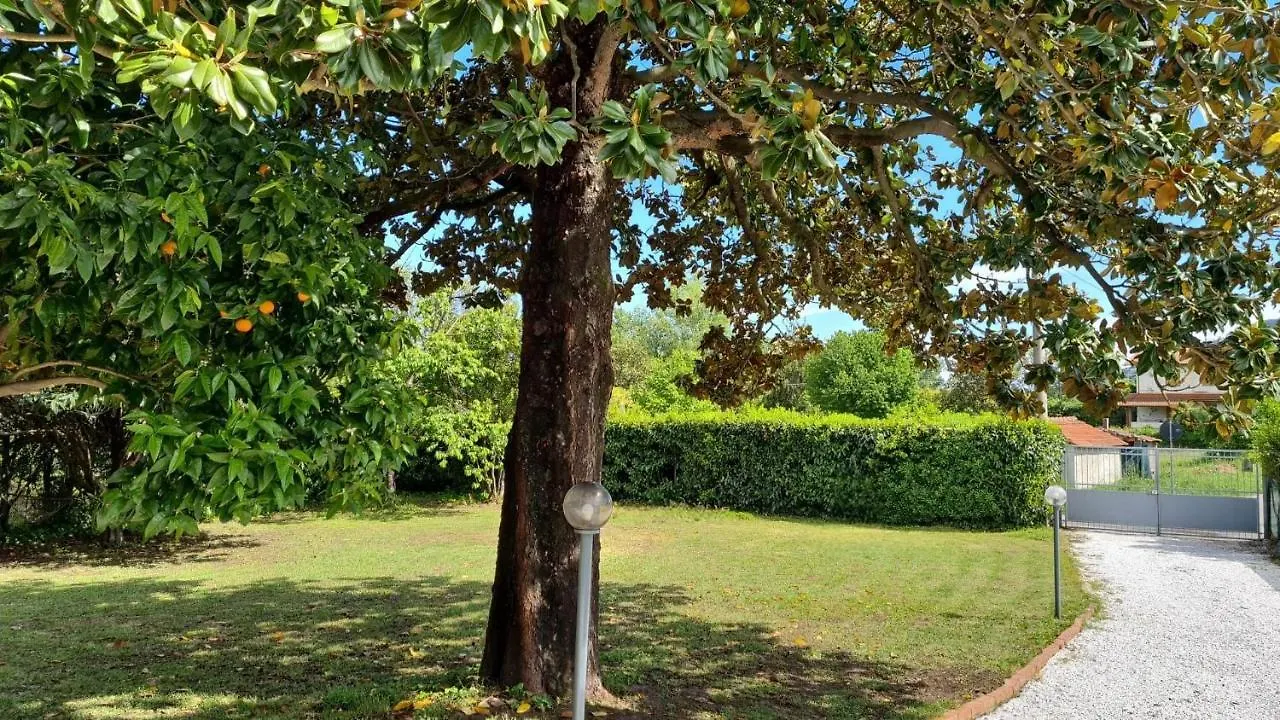La Magnolia Villa Ameglia Italy
